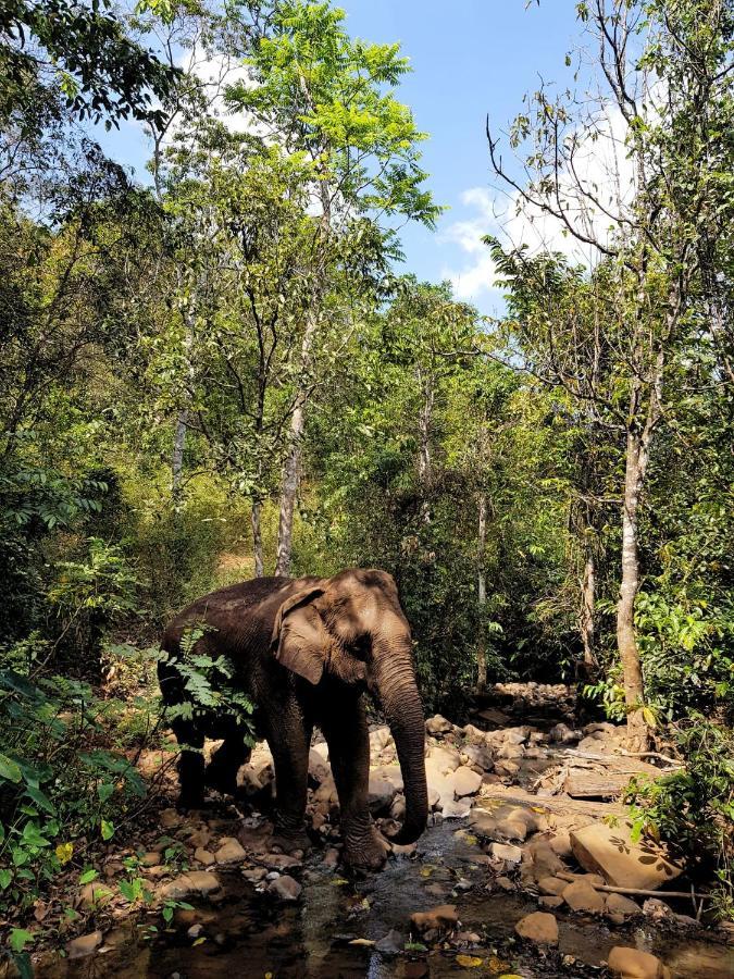 Srey Leap Homestay Banlung Bagian luar foto